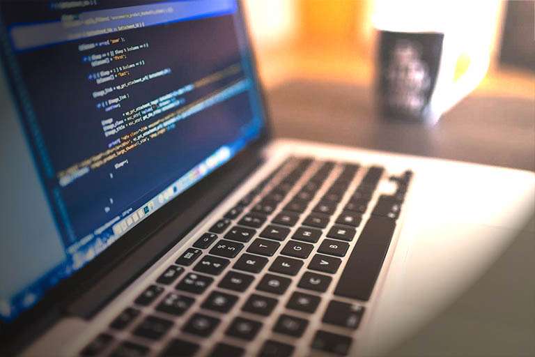 Website Development - Elroi Software Solution